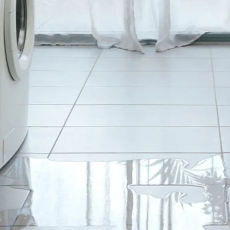 Appliance Leak Cleanup in Trinity, FL