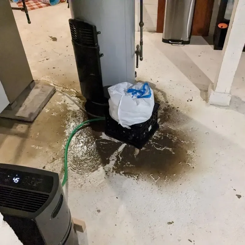 Sewage Backup Cleanup Service in Trinity, FL